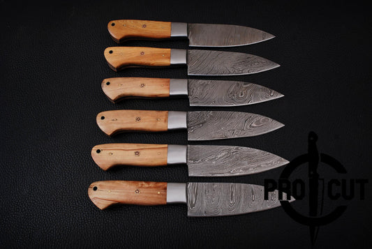 6 Pcs Handmade Damascus Steel Culinary Knives Set, Hand Forged BBQ Steak Knives