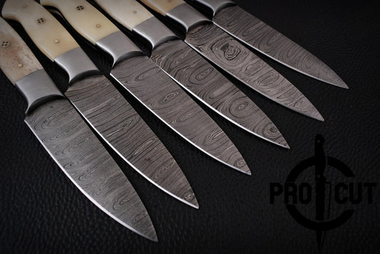 6 Pcs Hand Forged Damascus Steel Full Tang BBQ Steak Knives, Culinary Knives Set Gift for Men