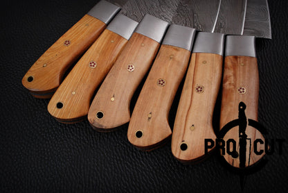 6 Pcs Handmade Damascus Steel Culinary Knives Set, Hand Forged BBQ Steak Knives