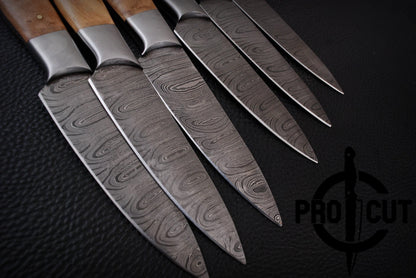 6 Pcs Handmade Damascus Steel Culinary Steak Knives Set with Olive Wood Handle