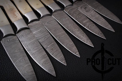8 Pcs Hand Forged Damascus Steel Full Tang BBQ Steak Knives, Culinary Knives Set Gift for Men