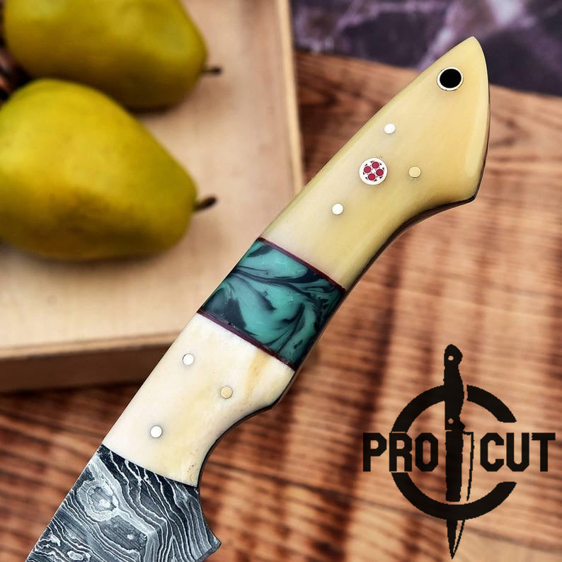 Pro Cut Hand Forged Damascus Steel Full Tang Fillet Knife with Sheath