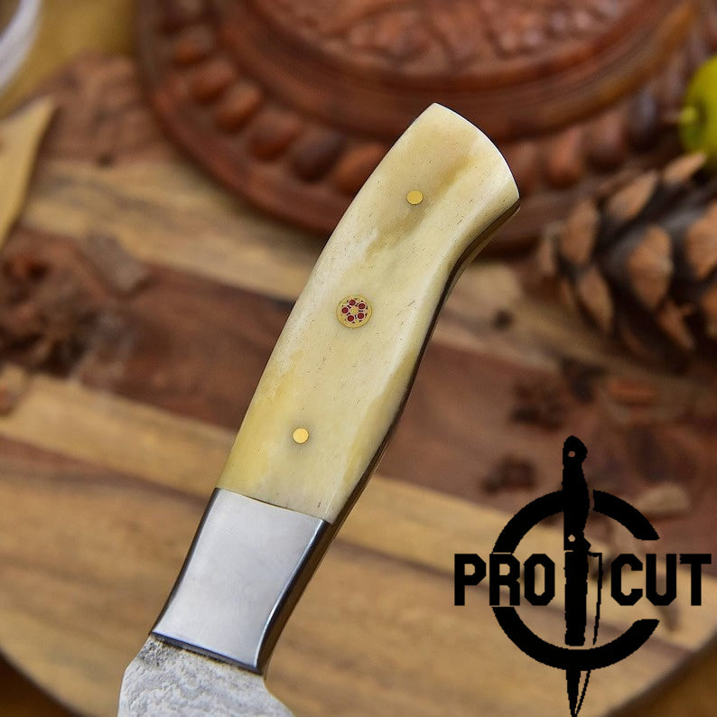 Pro Cut Hand Forged Damascus Steel Fillet Knife with Camel Bone Handle